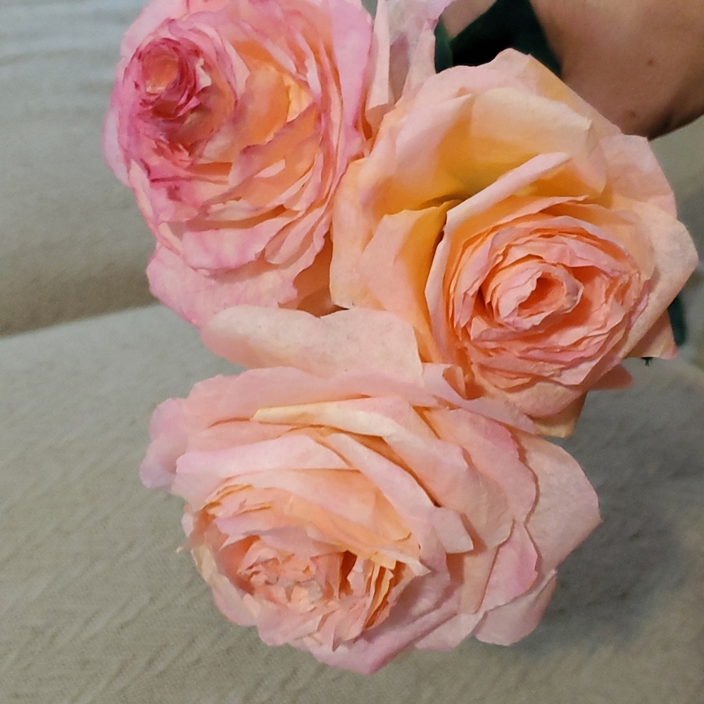 Handmade paper floral blooms - blush/pink roses